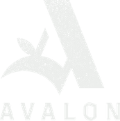 Avalon Bar